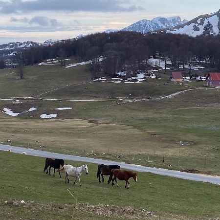 Blackberry House Zabljak エクステリア 写真