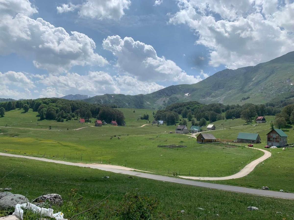 Blackberry House Zabljak エクステリア 写真