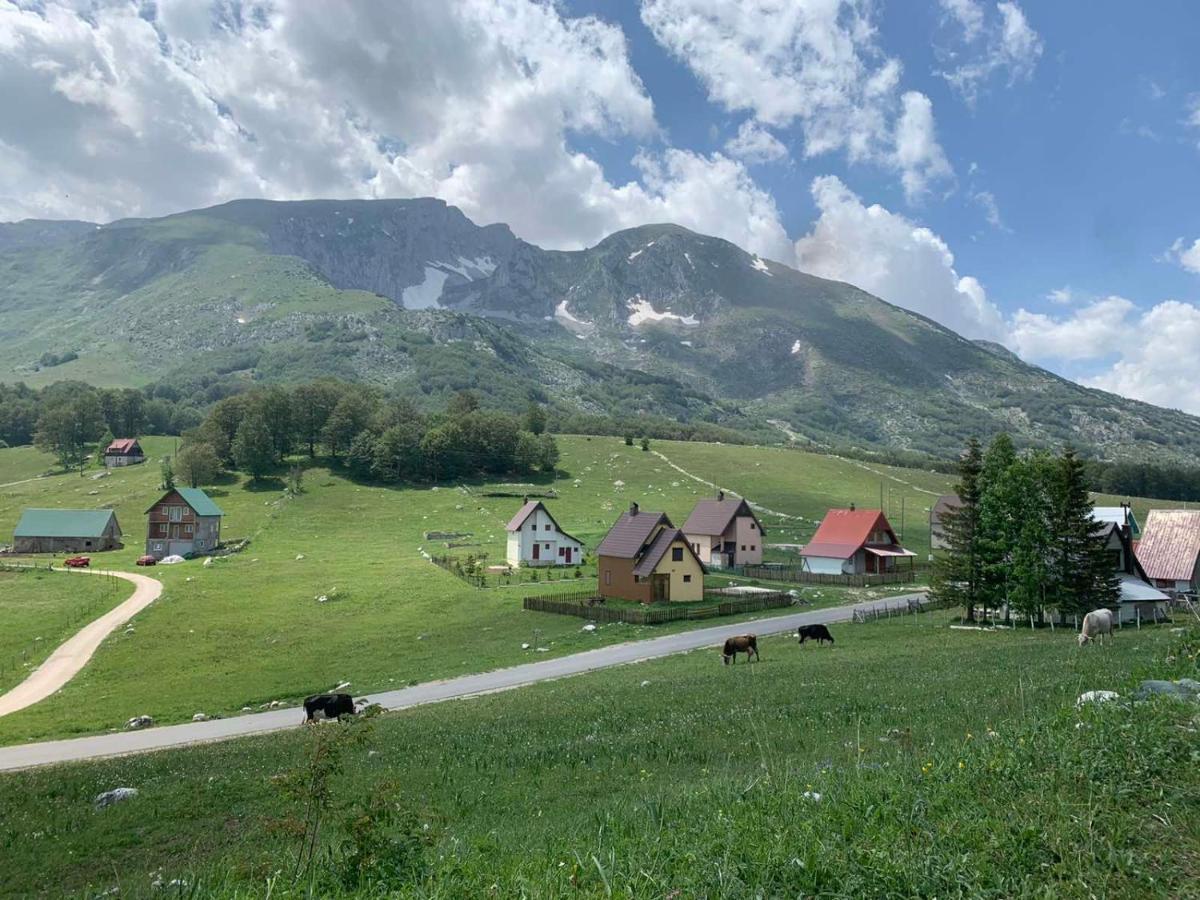 Blackberry House Zabljak エクステリア 写真
