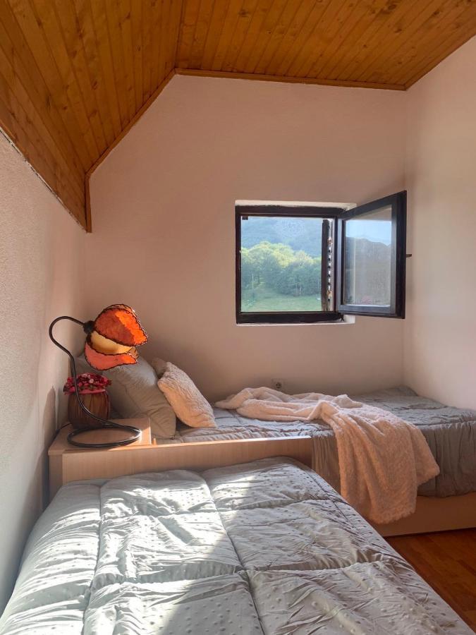 Blackberry House Zabljak エクステリア 写真