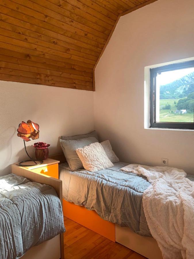 Blackberry House Zabljak エクステリア 写真