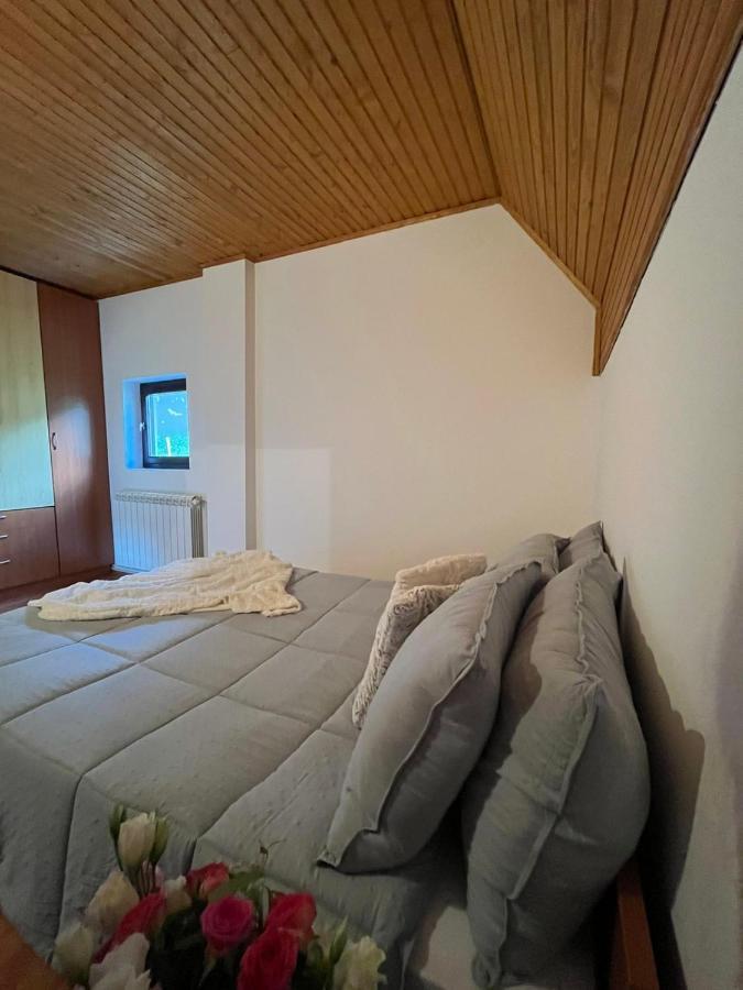 Blackberry House Zabljak エクステリア 写真