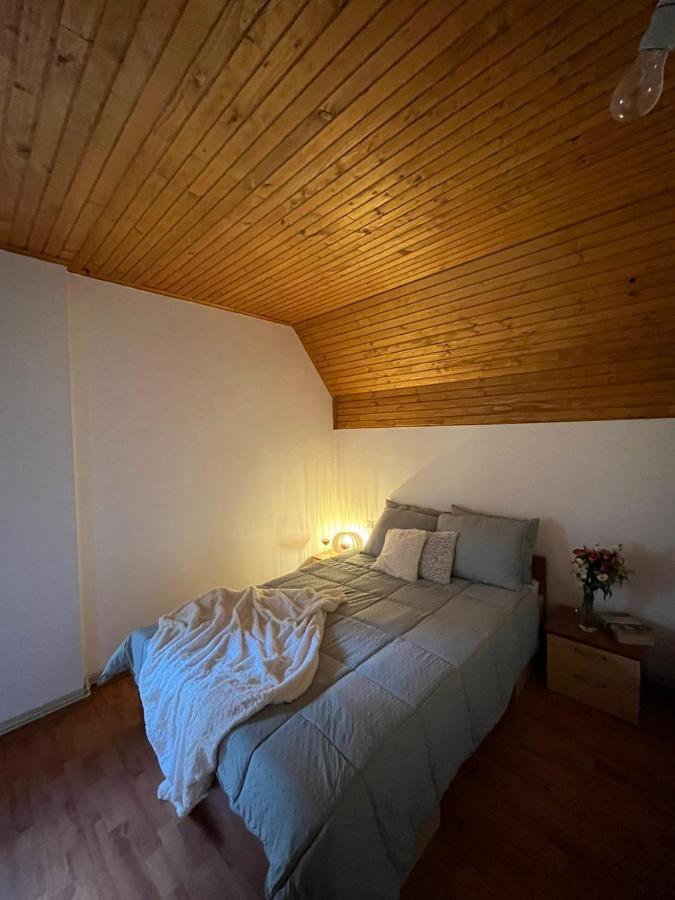 Blackberry House Zabljak エクステリア 写真