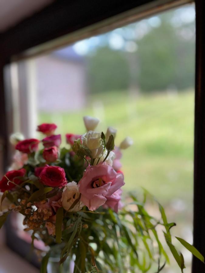 Blackberry House Zabljak エクステリア 写真