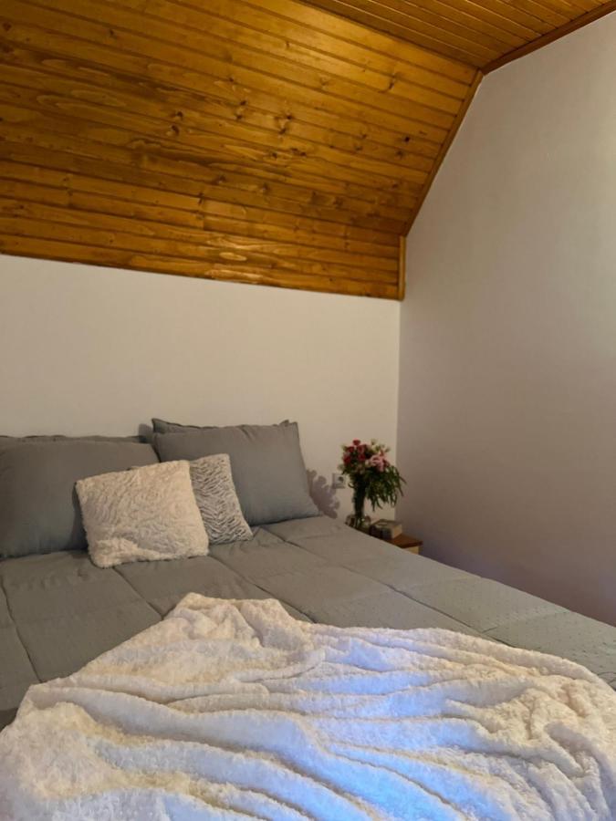 Blackberry House Zabljak エクステリア 写真