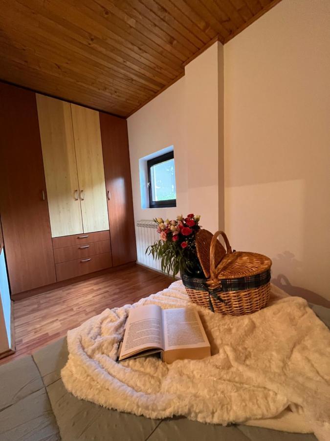 Blackberry House Zabljak エクステリア 写真