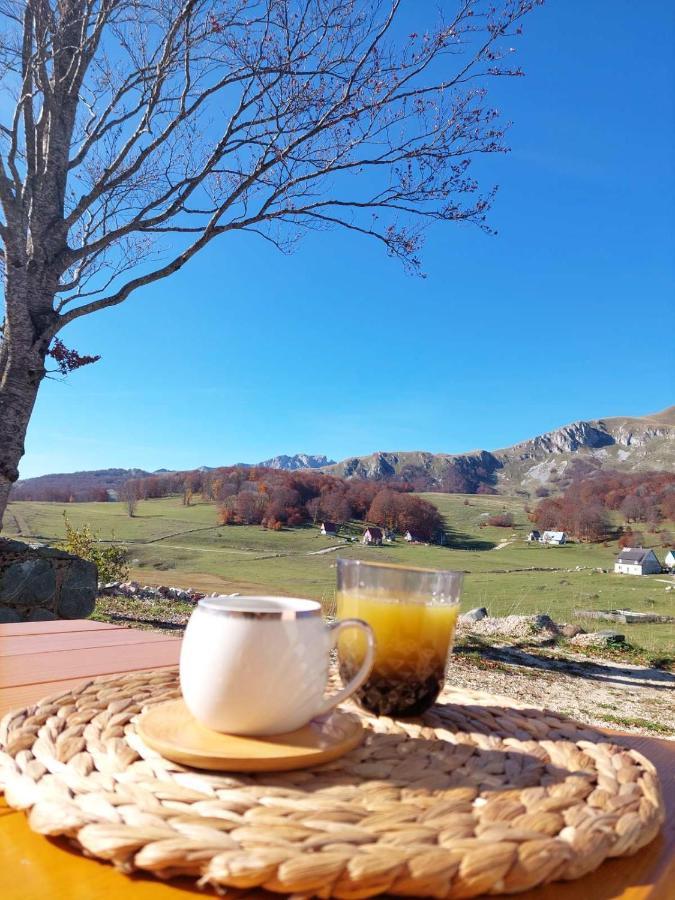 Blackberry House Zabljak エクステリア 写真