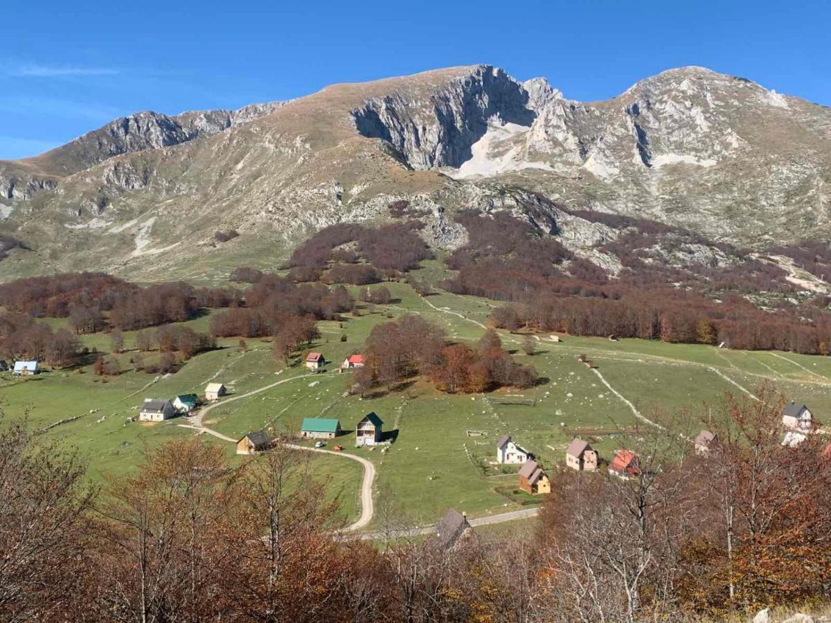 Blackberry House Zabljak エクステリア 写真