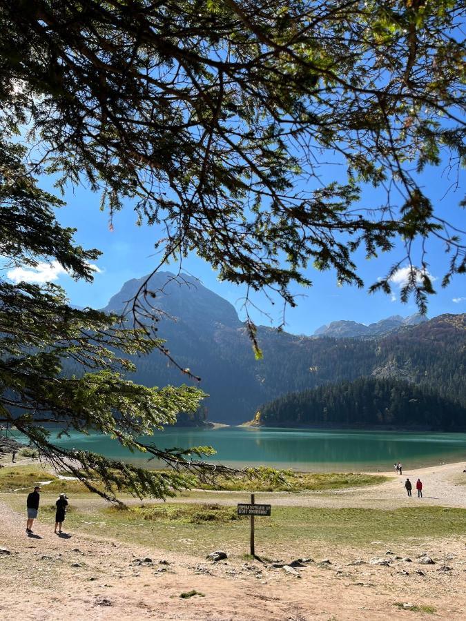 Blackberry House Zabljak エクステリア 写真