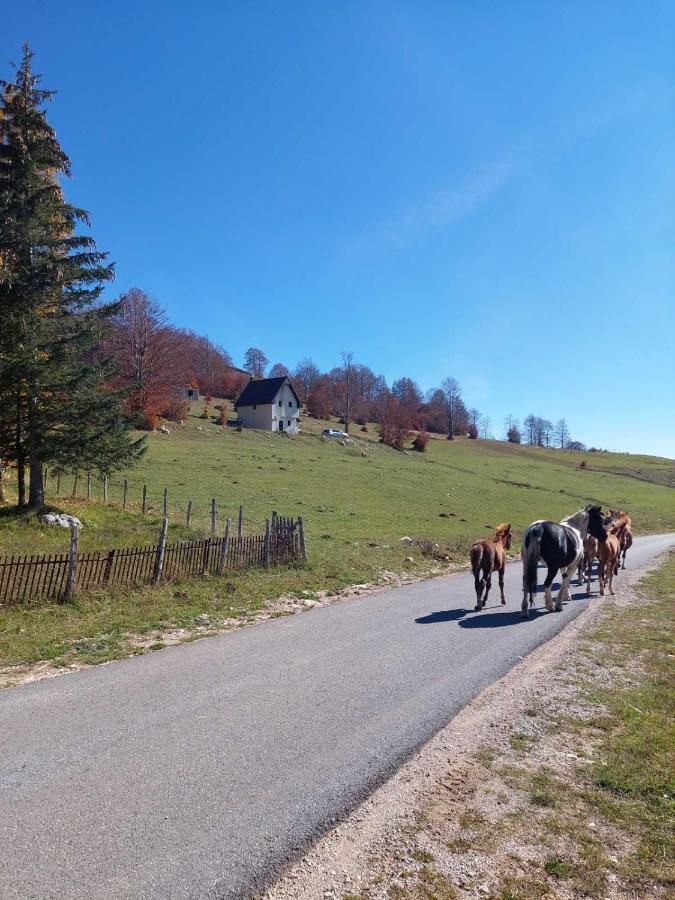 Blackberry House Zabljak エクステリア 写真