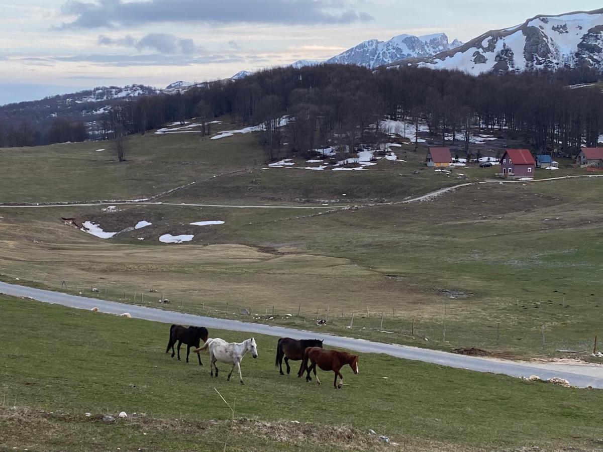 Blackberry House Zabljak エクステリア 写真