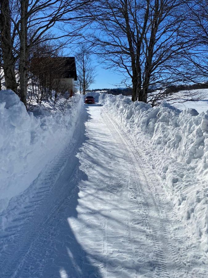 Blackberry House Zabljak エクステリア 写真