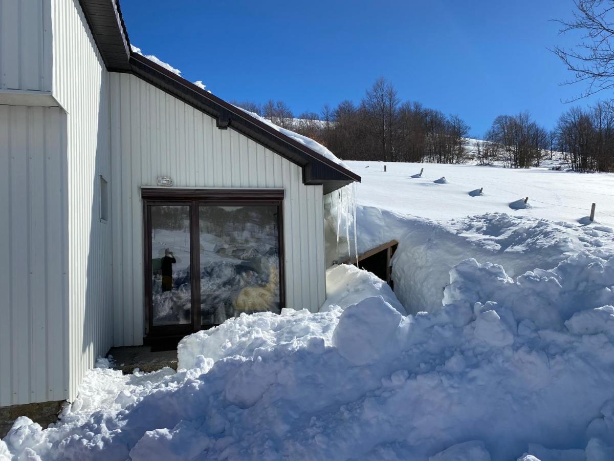 Blackberry House Zabljak エクステリア 写真